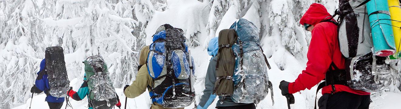 Snow Shoeing.jpg