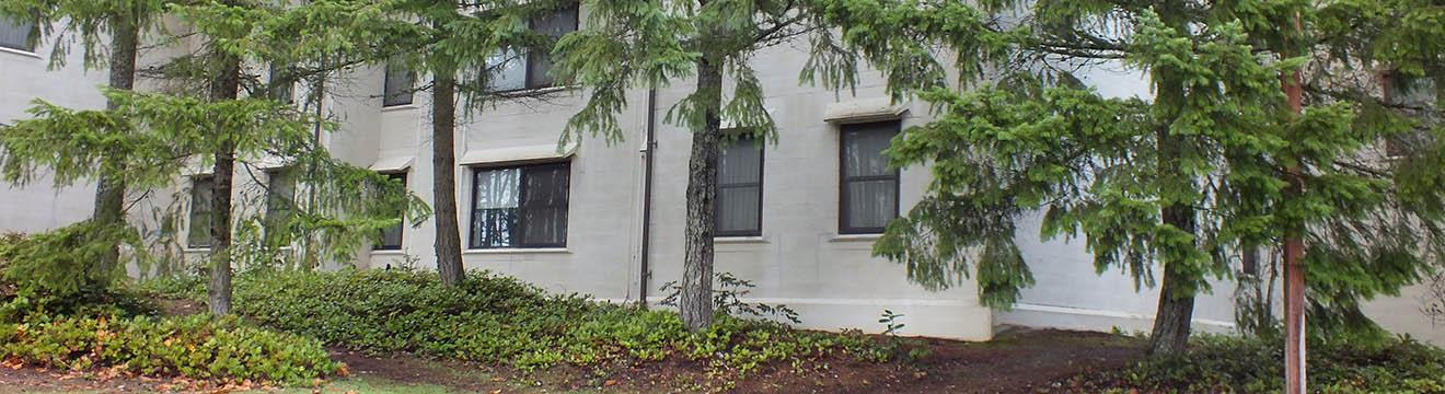 DSCF2197.JPG