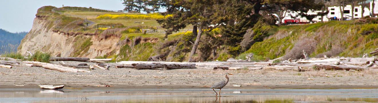 PNW_Web_Header_Cliffside_RV_Park_14.jpg
