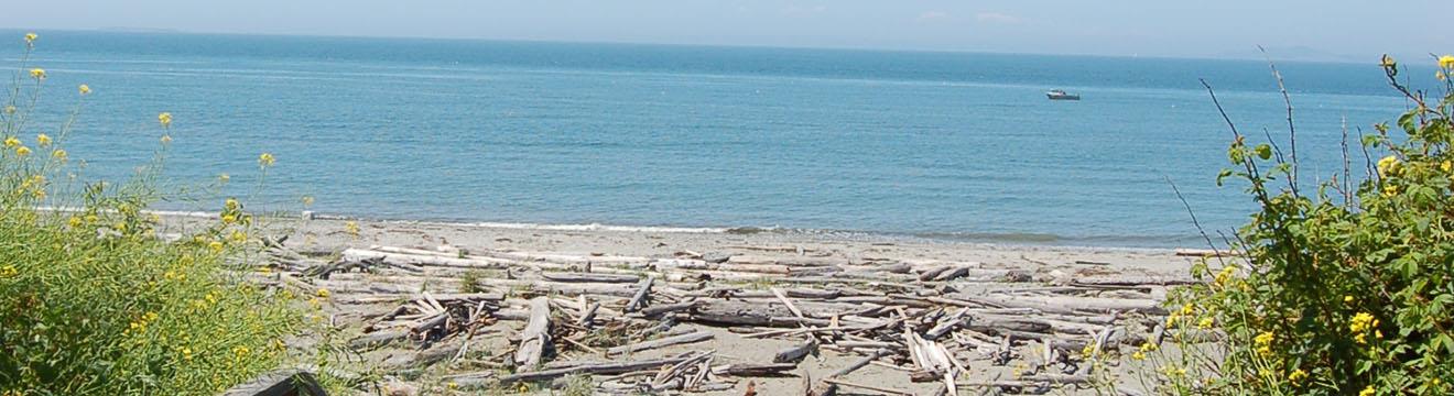 PNW_Web_Header_Rocky_Point_Recreation_Area_05.jpg