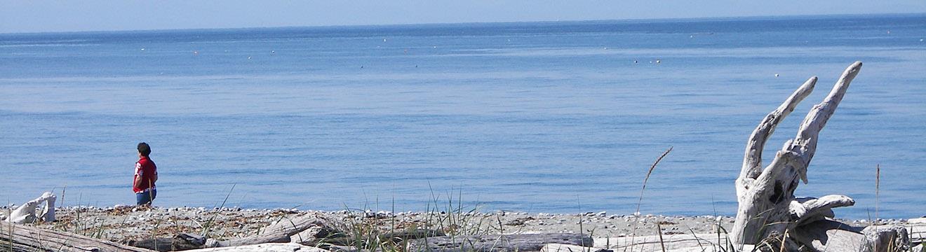 PNW_Web_Header_Rocky_Point_Recreation_Area_06.jpg