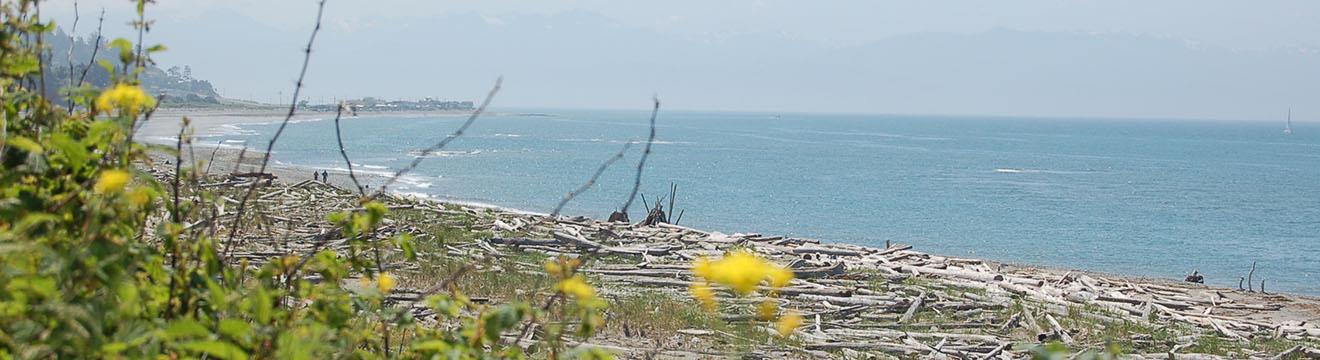 PNW_Web_Header_Rocky_Point_Recreation_Area_11.jpg