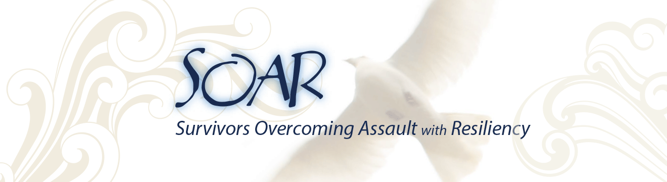 SOAR_EV_web_header.gif