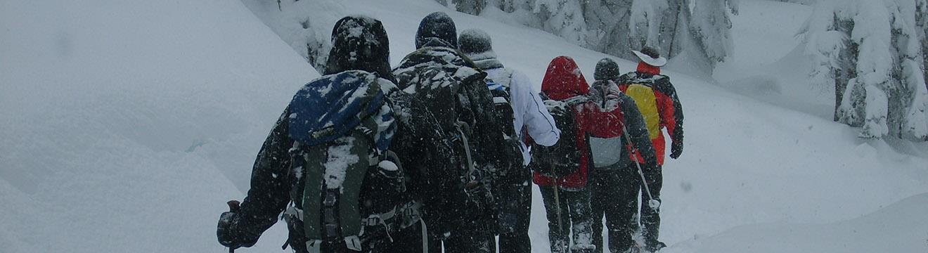 1320x360_snowshoe.jpg