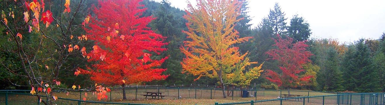PNW_Web_Header_Jim_Creek_Recreation_Area_03.jpg