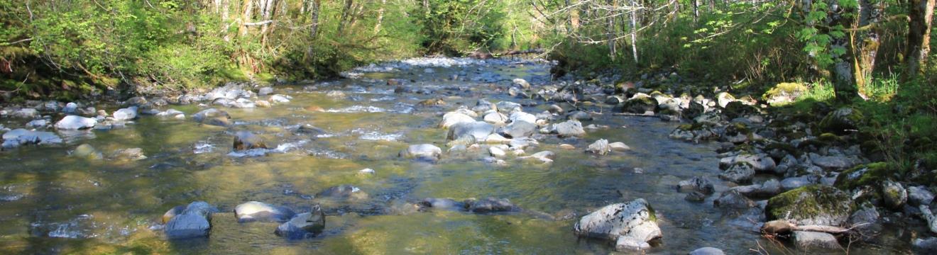 Jim_Creek_1320x360.JPG