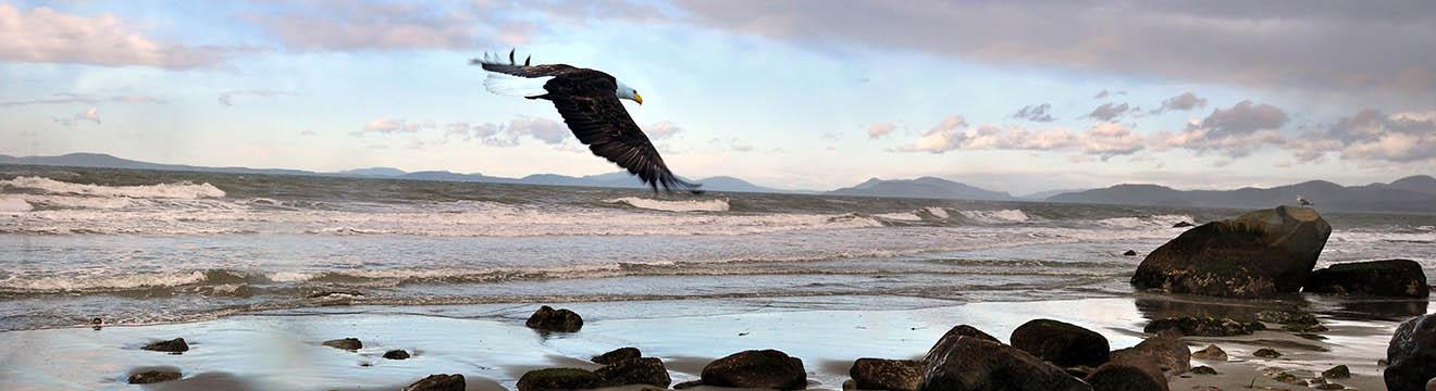 PNW_Web_Header_Cliffside_RV_Park_09.jpg