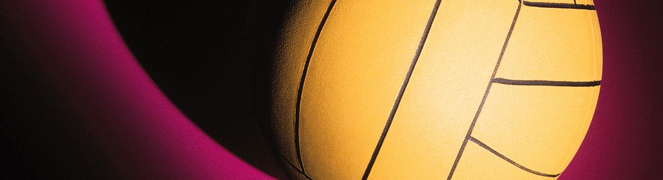 1320x360_FIT_Volleyball.jpg
